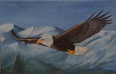 Bald eagle